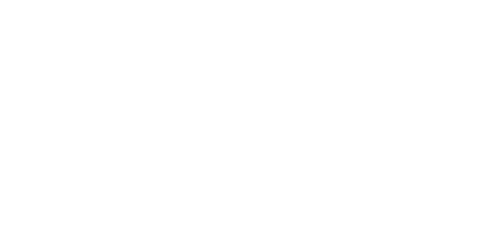 RivalX